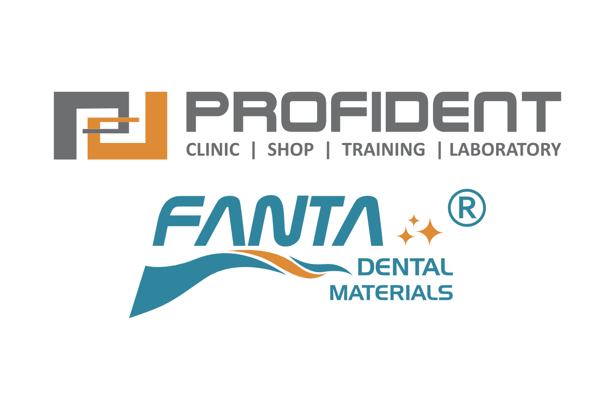 profident_logo profident logo